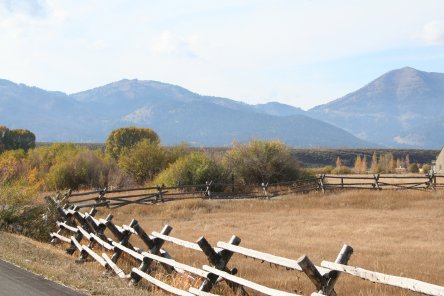 Jenkins Ranch