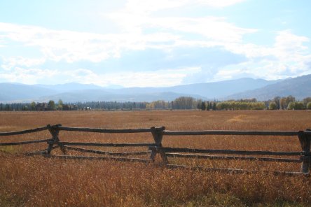 Puzzleface Ranch