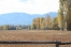 Jenkins Ranch