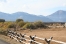 Jenkins Ranch