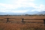 Puzzleface Ranch
