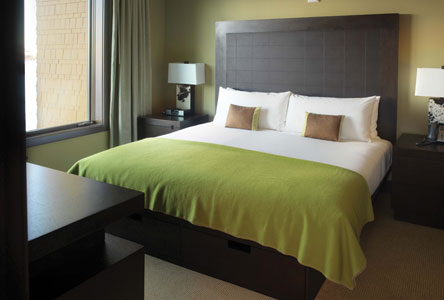 Hotel Terra
